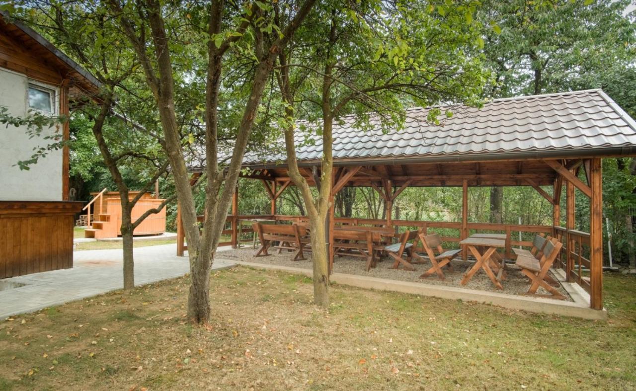Pensiunea Selena Viseu de Sus Ngoại thất bức ảnh