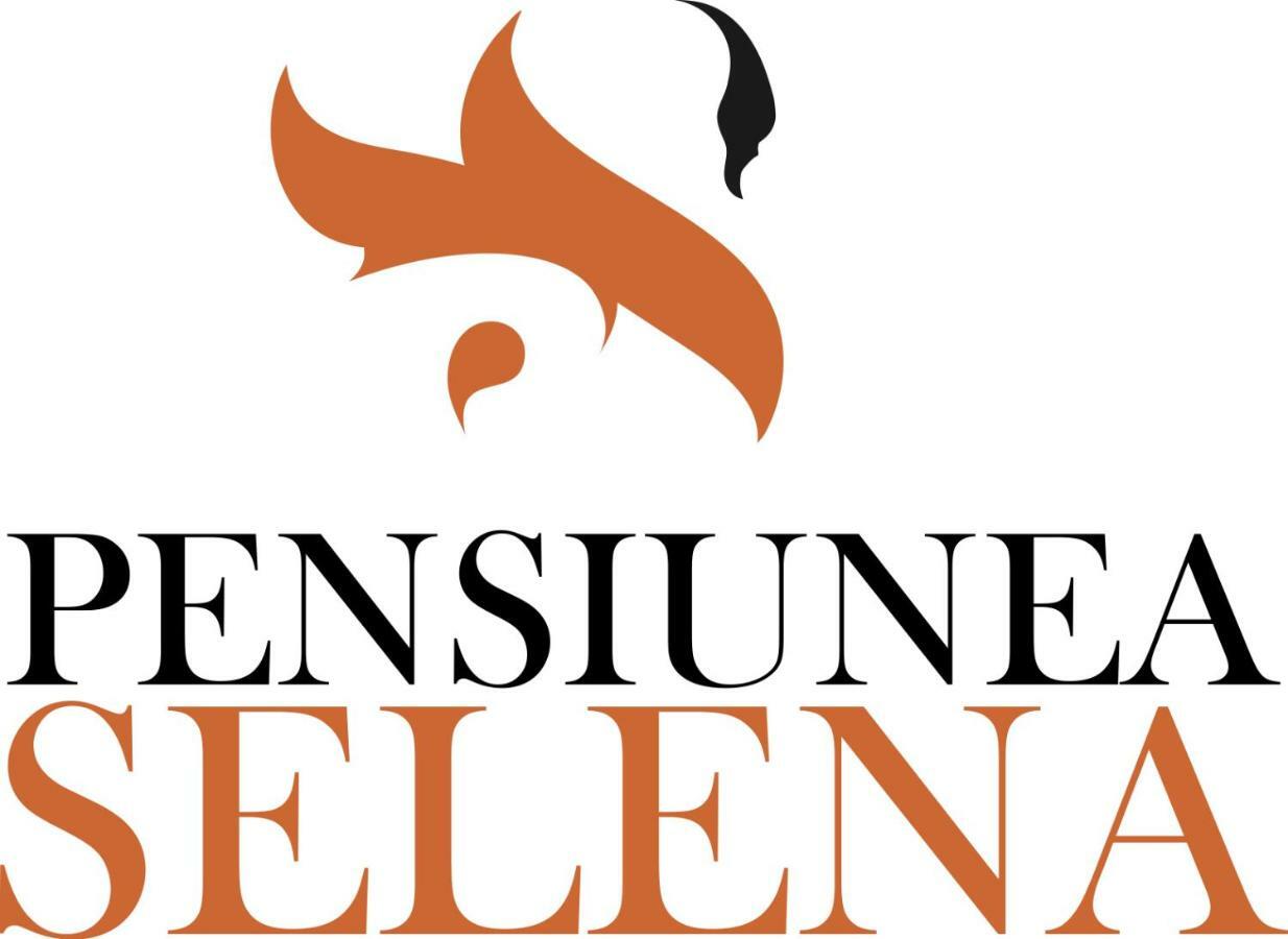 Pensiunea Selena Viseu de Sus Ngoại thất bức ảnh